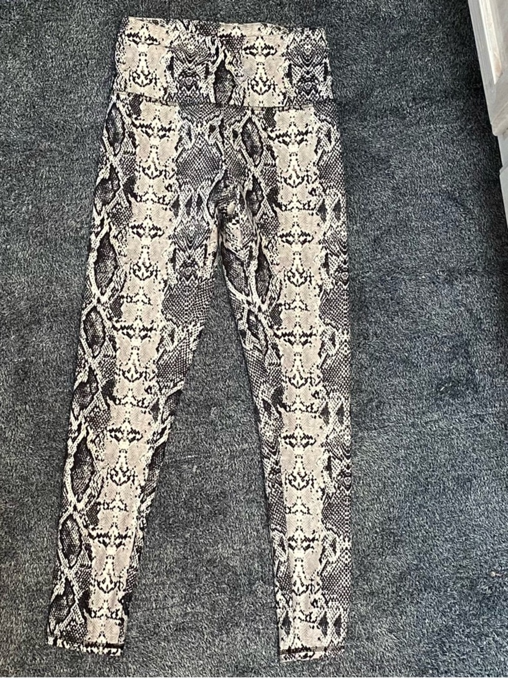 Balance Collection Snake-Print High Waist Jeggings - Black & Cream